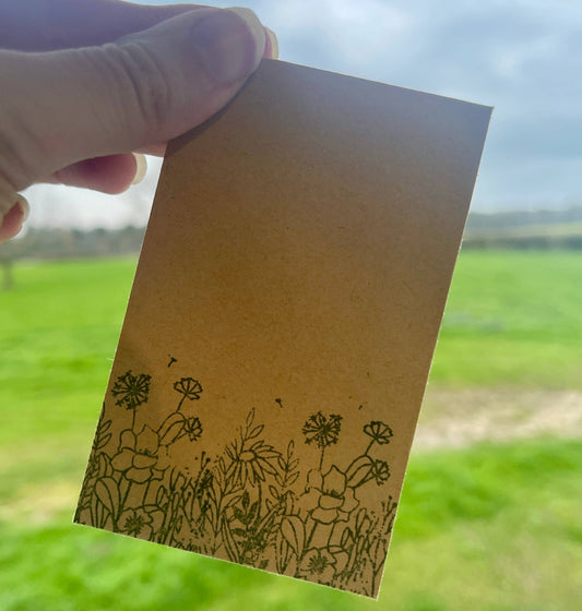 Wildflower Seeds - Seed Packet - Mix Flower Pattern