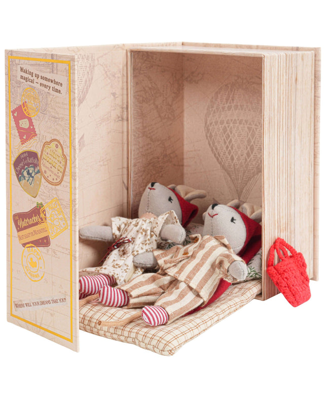 Sleepy & Dreamy Mice in a Box