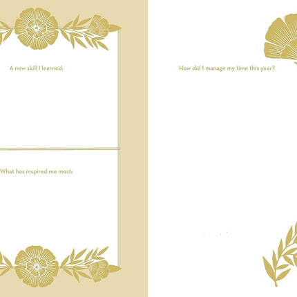 Plan, Dream, Reflect Journal - A 3-Year Journal for Looking Back and Forward