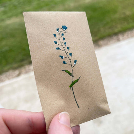 Wildflower Seeds - Forget Me Not Pattern - Seed Packets