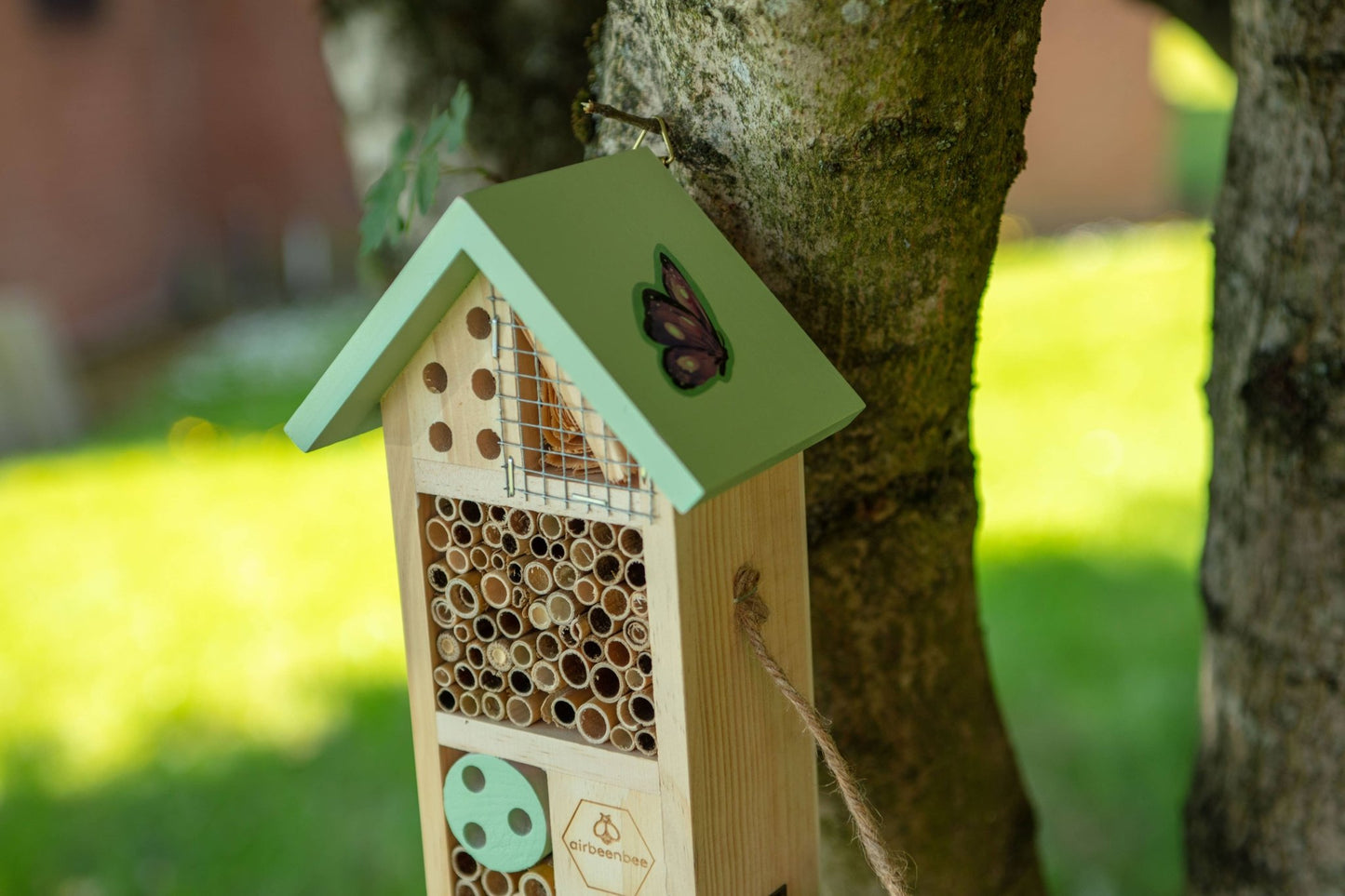 Wildlife house - Air ' Bee'n'Bee Insect House - The Red Squirrel