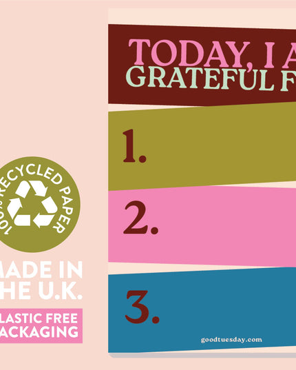 Daily Gratitude Pad | Work Hard, Play Nice | A6