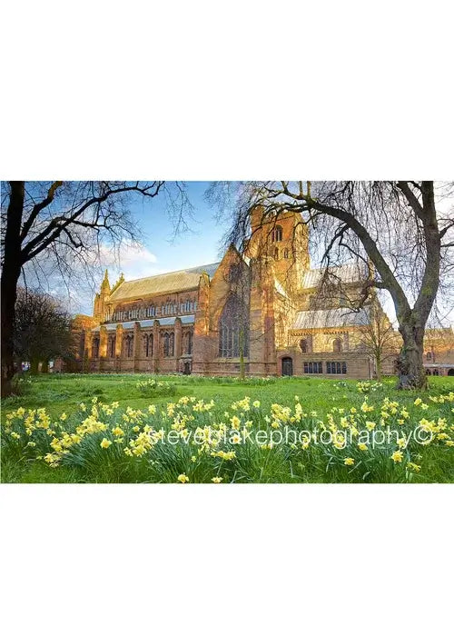 Steve Blake Photography Greetings Cards featuring a church surrounded by blooming daffodils in a scenic landscape.