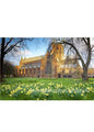 Steve Blake Photography Greetings Cards featuring a church surrounded by blooming daffodils in a scenic landscape.
