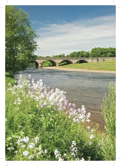 Steve Blake Photography Greetings Cards featuring a scenic view of a river and bridge surrounded by wildflowers.
