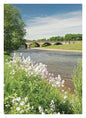 Steve Blake Photography Greetings Cards featuring a scenic view of a river and bridge surrounded by wildflowers.