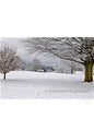 Steve Blake Photography Greetings Cards featuring a snowy landscape with trees and a bridge in the distance.