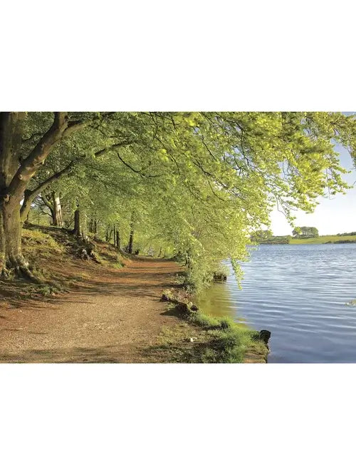 Steve Blake Photography Greetings Cards featuring a serene lakeside path lined with lush green trees.