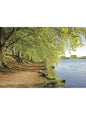Steve Blake Photography Greetings Cards featuring a serene lakeside path lined with lush green trees.