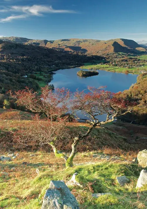 Steve Blake Photography Greetings Cards featuring a stunning view of the Lake District with a lake and tree.