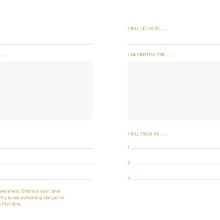 Two Minute Mornings: A Journal to Win Your Day Every Day (Diary or Journal)