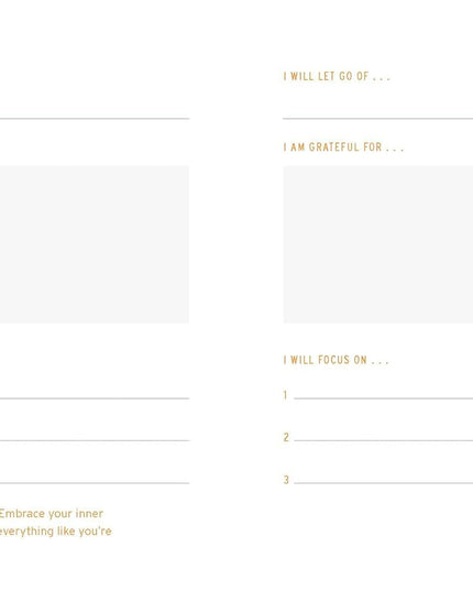 Two Minute Mornings: A Journal to Win Your Day Every Day (Diary or Journal)