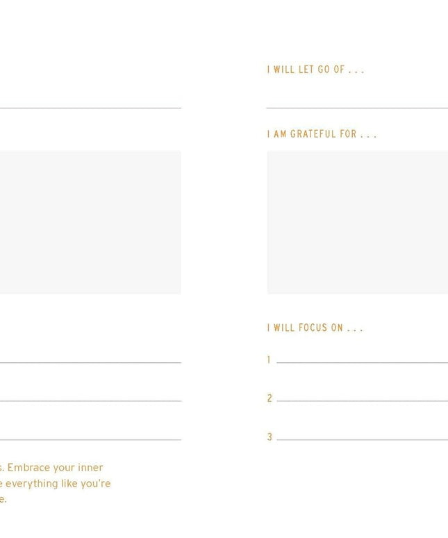 Two Minute Mornings: A Journal to Win Your Day Every Day (Diary or Journal)