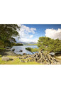 Steve Blake Photography Greetings Cards featuring a scenic view of the Lake District with trees and water.
