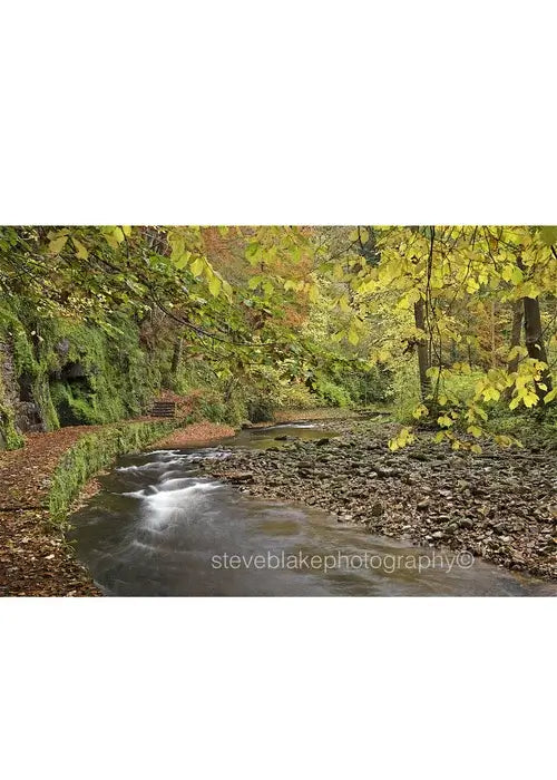 Steve Blake Photography Greetings Cards featuring a serene river scene with autumn leaves in the Lake District.