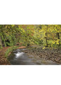 Steve Blake Photography Greetings Cards featuring a serene river scene with autumn leaves in the Lake District.