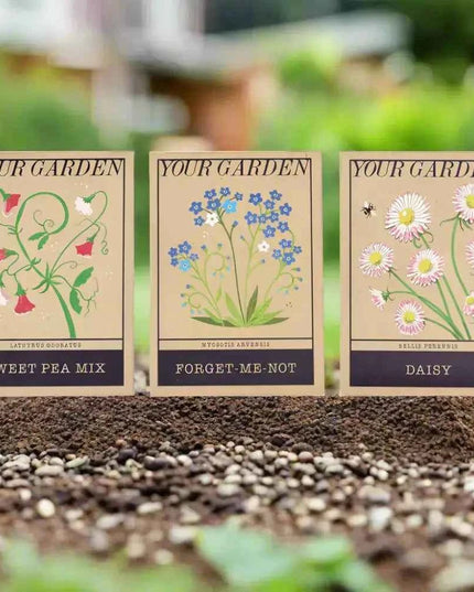 Beautiful Flower Seeds - Sweet Peas, Daisies, forget-me-nots