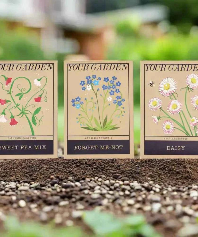 Beautiful Flower Seeds - Sweet Peas, Daisies, forget-me-nots