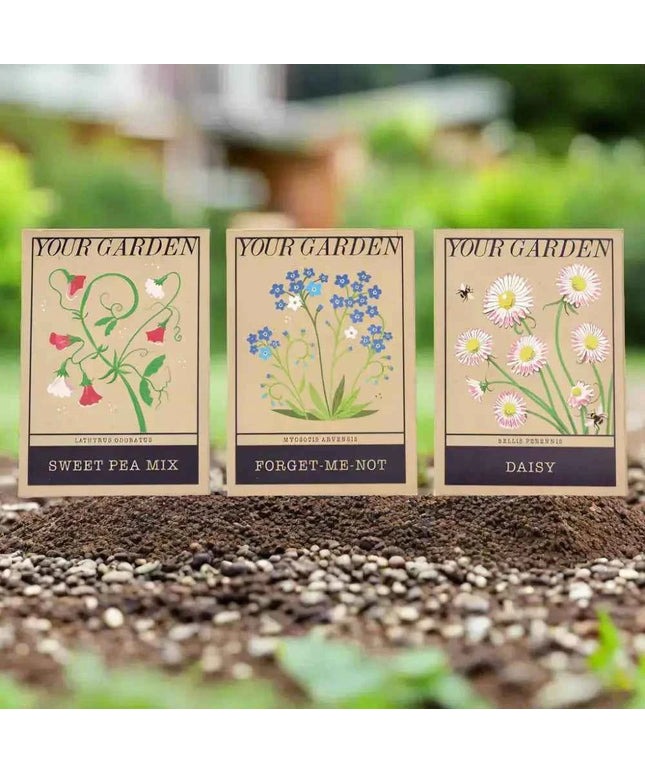 Beautiful Flower Seeds - Sweet Peas, Daisies, forget-me-nots