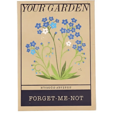 Beautiful Flower Seeds - Sweet Peas, Daisies, forget-me-nots forget-me-nots