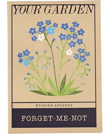 Beautiful Flower Seeds - Sweet Peas, Daisies, forget-me-nots forget-me-nots