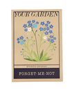 forget-me-nots