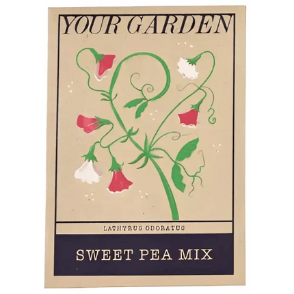 Beautiful Flower Seeds - Sweet Peas, Daisies, forget-me-nots Sweet pea