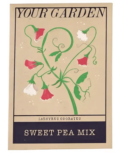 Beautiful Flower Seeds - Sweet Peas, Daisies, forget-me-nots Sweet pea