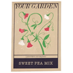 Sweet pea