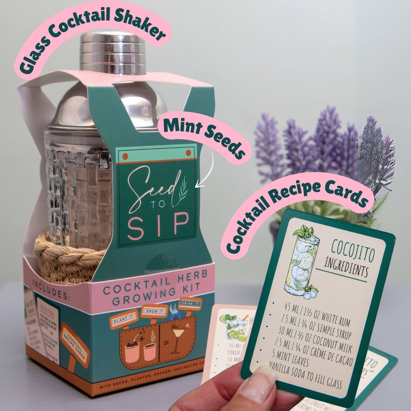 Seed to Sip Grow Your Own Cocktails Gift Set - The Red Squirrel