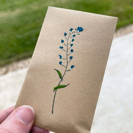 Wildflower Seeds - Forget Me Not Pattern - Seed Packets