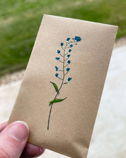 Wildflower Seeds - Forget Me Not Pattern - Seed Packets