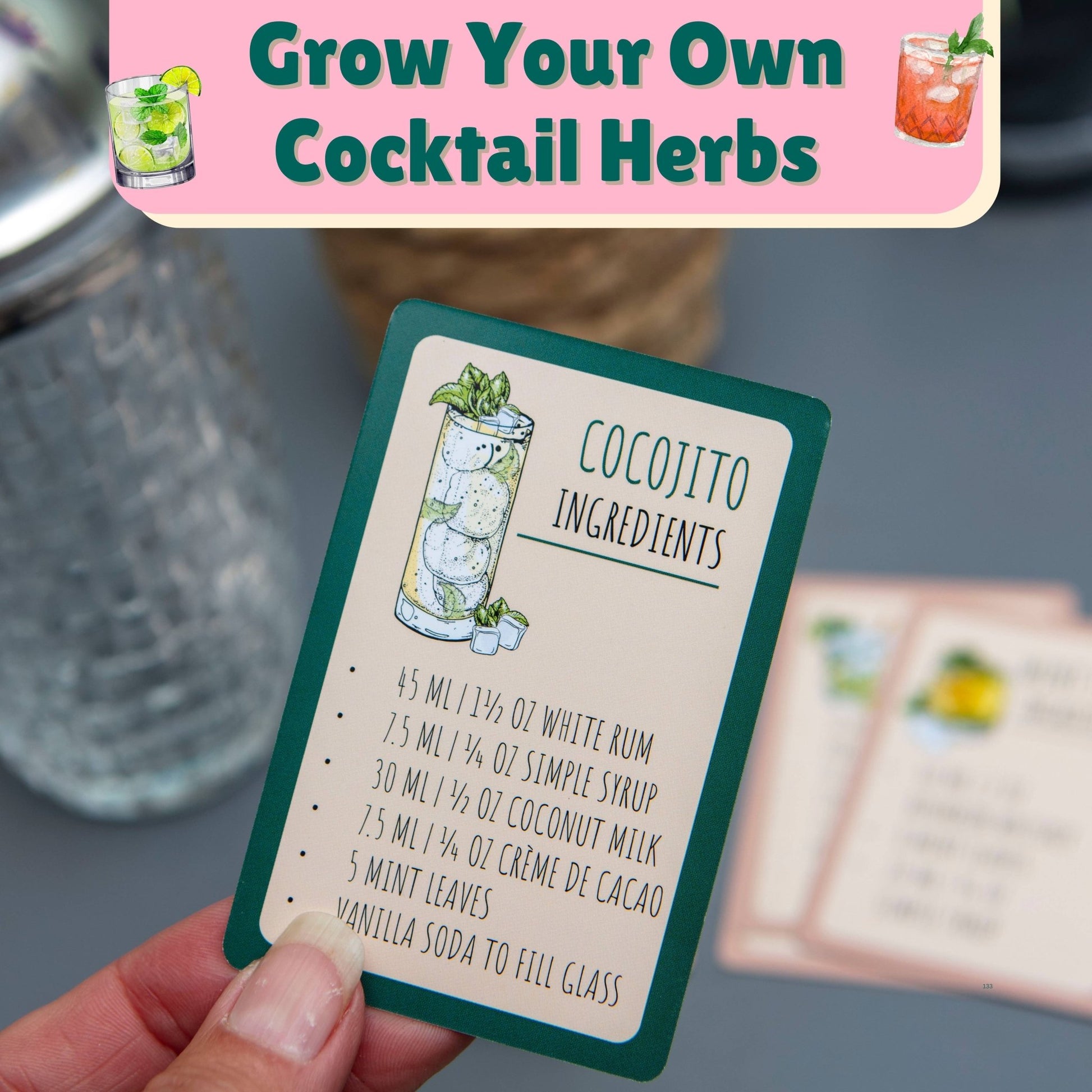 Seed to Sip Grow Your Own Cocktails Gift Set - The Red Squirrel