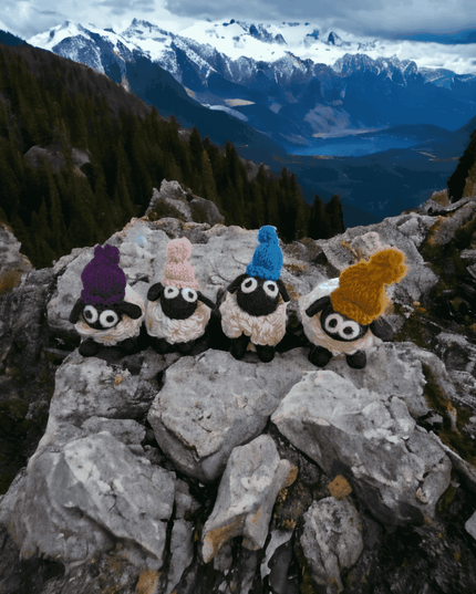 Felted Sheep with Knitted Beanie