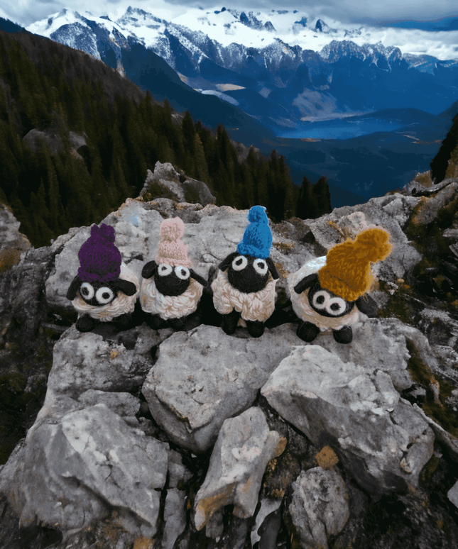 Felted Sheep with Knitted Beanie
