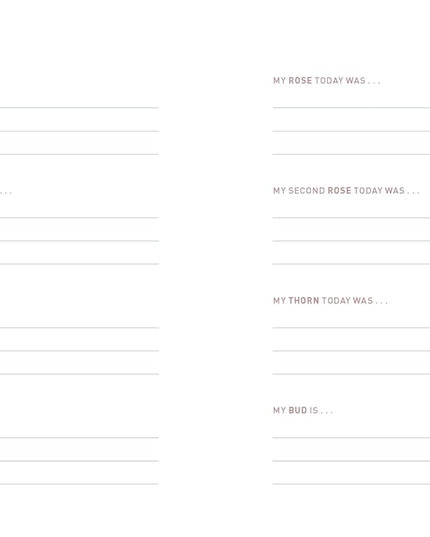 Two Minute Evenings - A Journal to Wind Down Your Day with Intention (Diary or Journal)