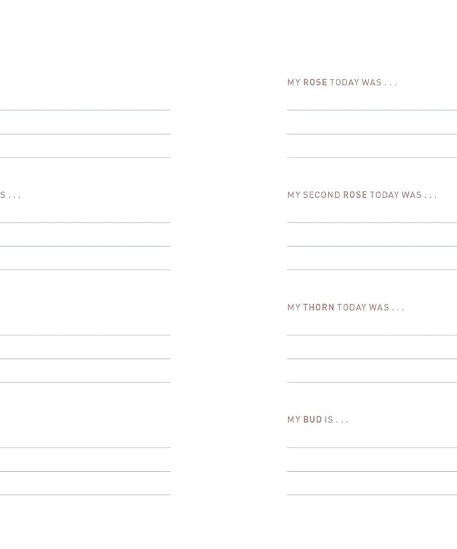 Two Minute Evenings - A Journal to Wind Down Your Day with Intention (Diary or Journal)