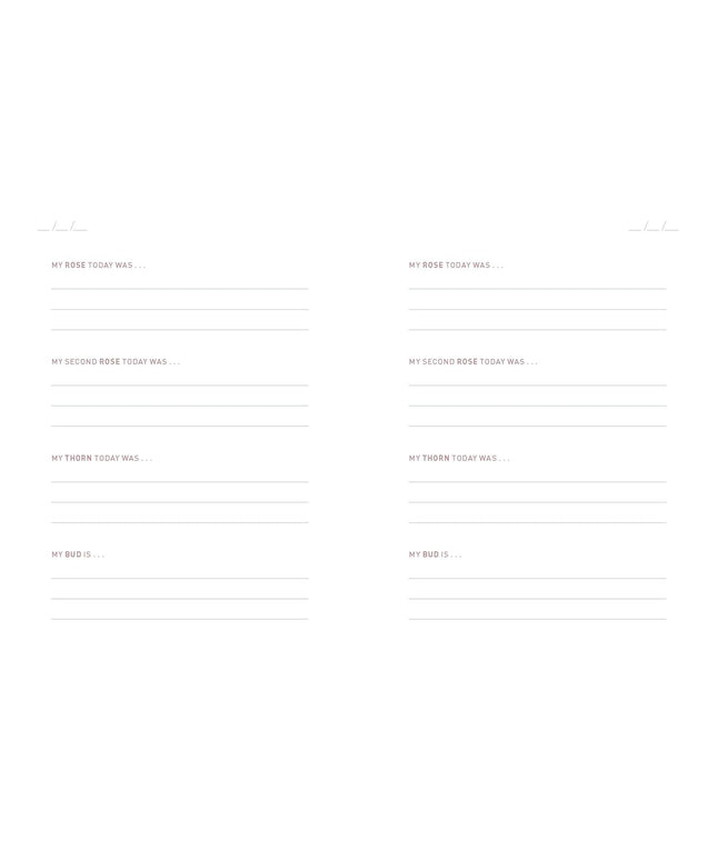 Two Minute Evenings - A Journal to Wind Down Your Day with Intention (Diary or Journal)
