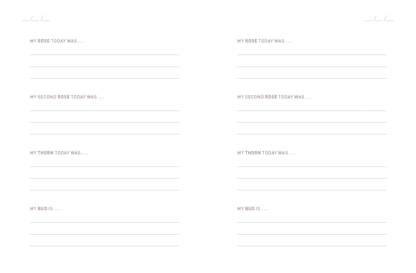 Two Minute Evenings - A Journal to Wind Down Your Day with Intention (Diary or Journal) - The Red Squirrel