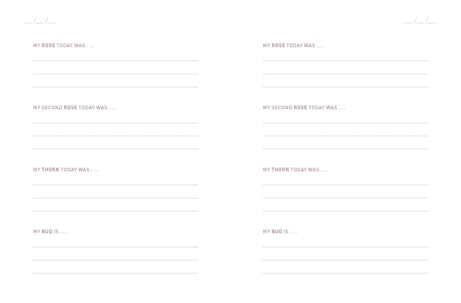 Two Minute Evenings - A Journal to Wind Down Your Day with Intention (Diary or Journal) - The Red Squirrel