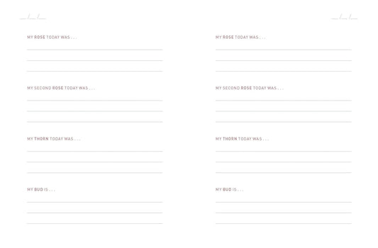 Two Minute Evenings - A Journal to Wind Down Your Day with Intention (Diary or Journal) - The Red Squirrel