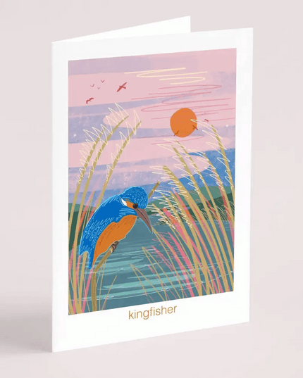 Kingfisher - greeting card