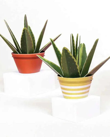 Make Your Own Healing Aloe Vera Paper Plant