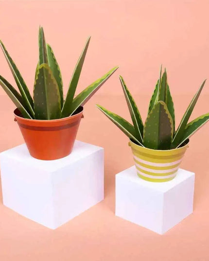 Make Your Own Healing Aloe Vera Paper Plant