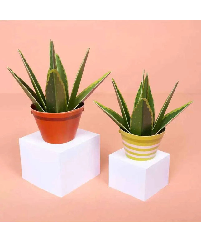 Make Your Own Healing Aloe Vera Paper Plant