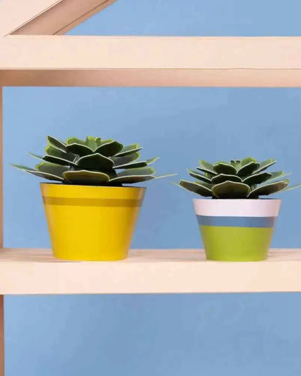 Make Your Own Soothing Succulent Paper Plant