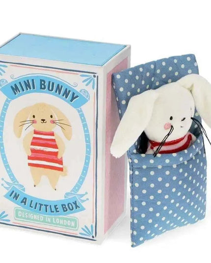 Mini Bunny In A Little Box
