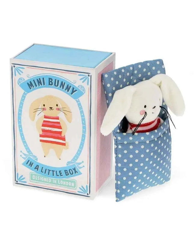 Mini Bunny In A Little Box