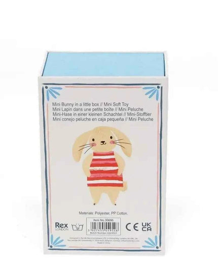 Mini Bunny In A Little Box