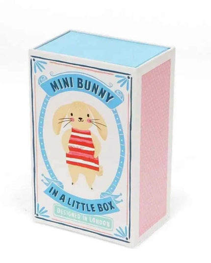 Mini Bunny In A Little Box